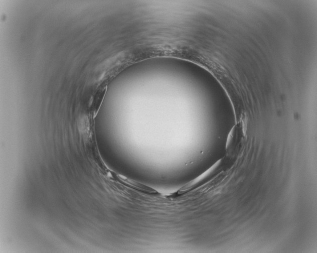 X0000059081347200510172019