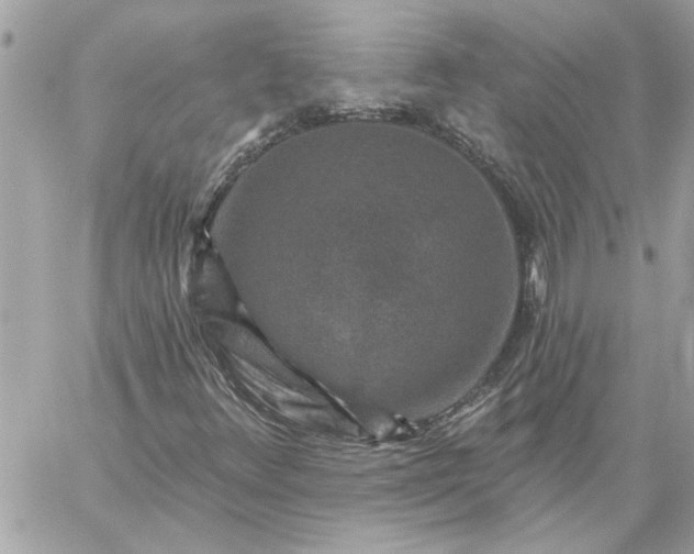 X0000059081348200510172019