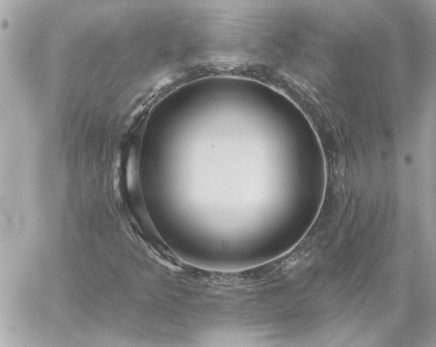 X0000059081349200510172019