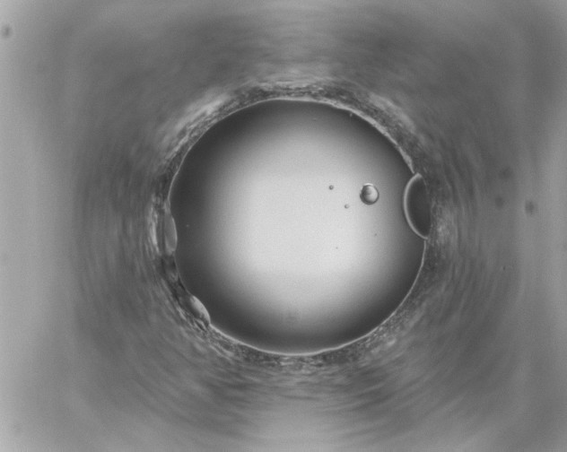 X0000059081350200510172019