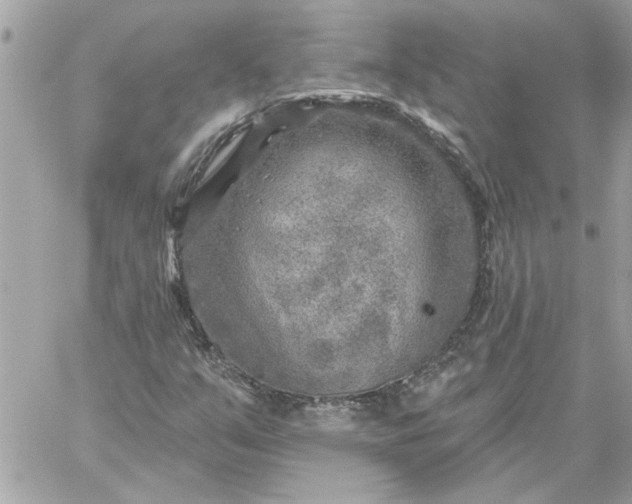 X0000059081351200510172019