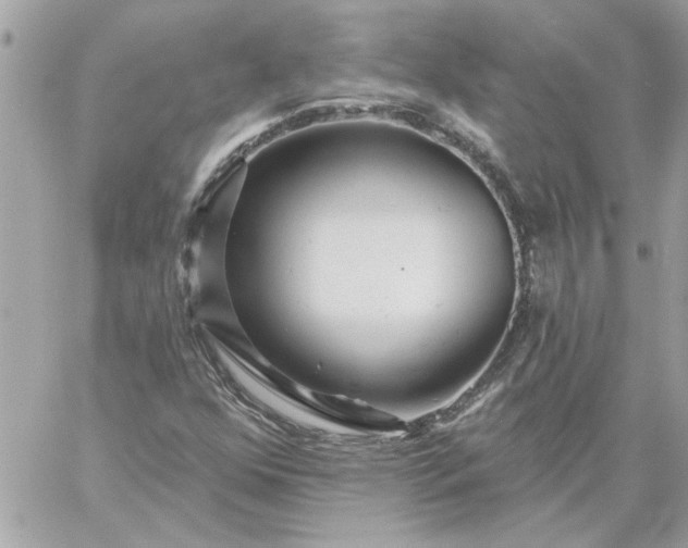 X0000059081352200510172019