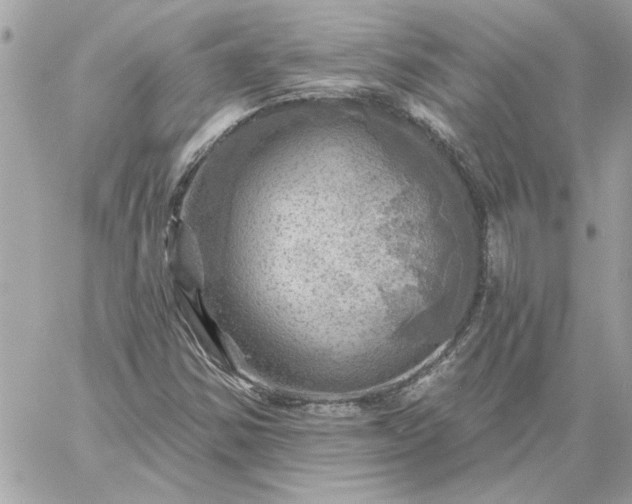 X0000059081354200510172019