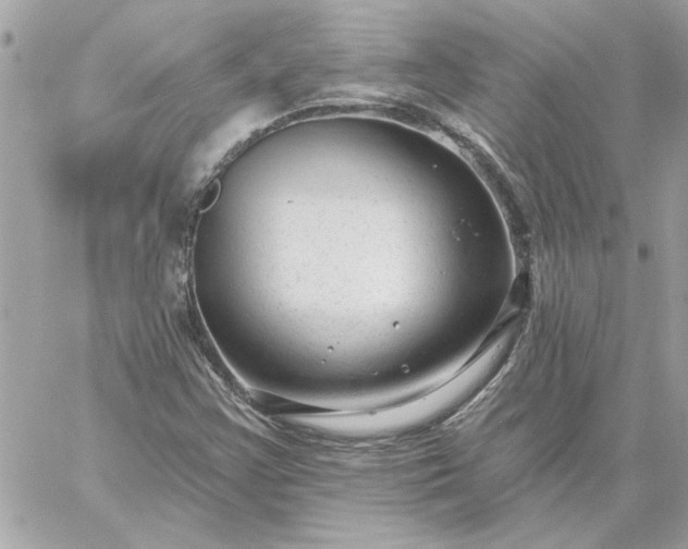 X0000059081355200510172019