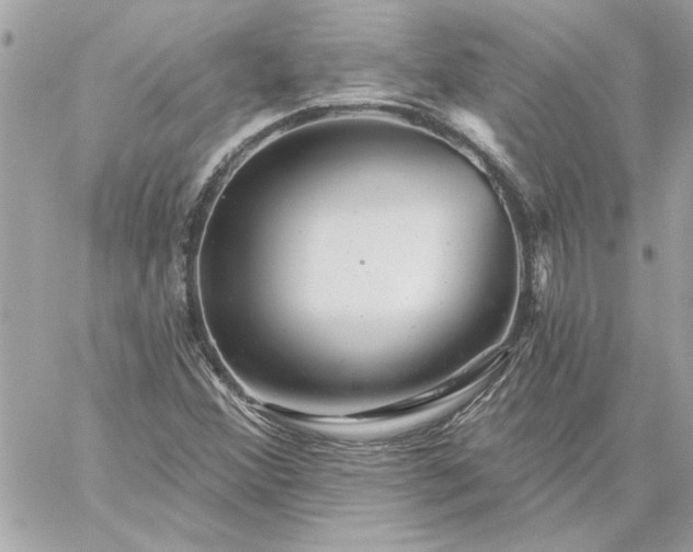 X0000059081356200510172019