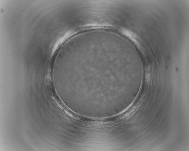 X0000059081357200510172019