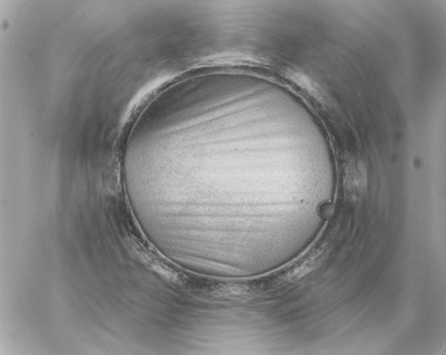 X0000059081358200510172019