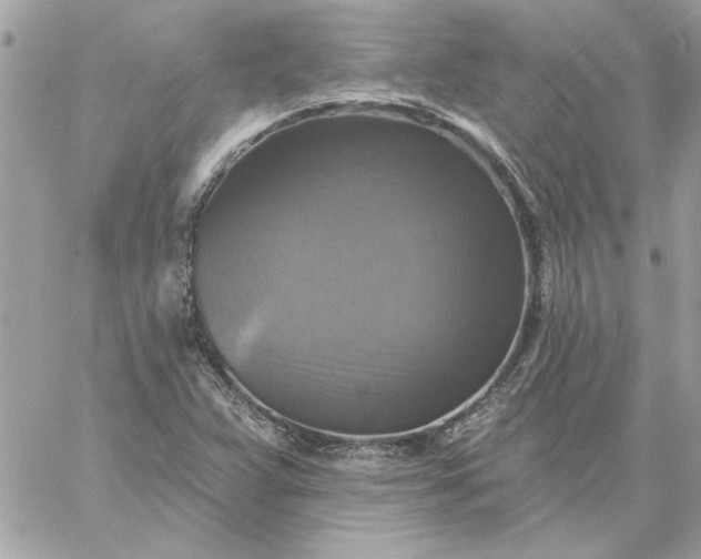 X0000059081359200510172019