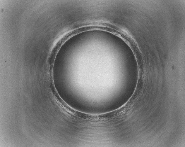 X0000059081360200510172019