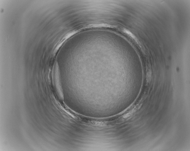 X0000059081361200510172019