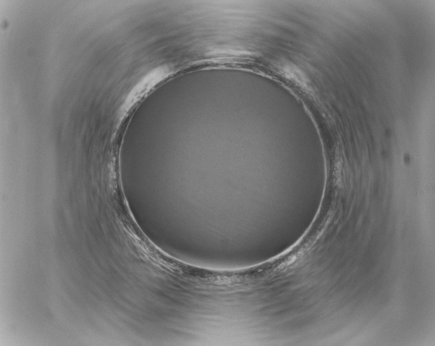 X0000059081362200510172019