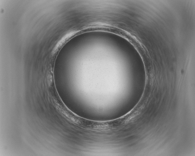 X0000059081363200510172019