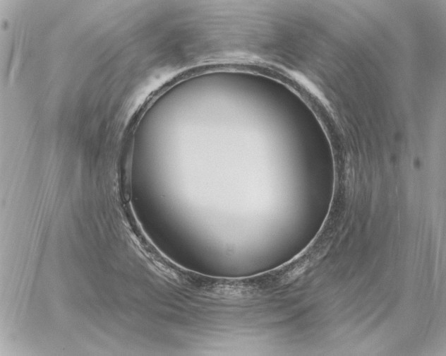 X0000059081364200510172019