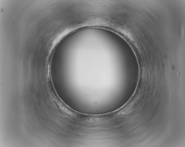 X0000059081366200510172019