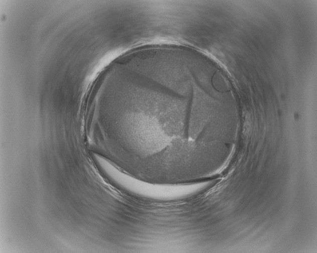 X0000059081367200510172019