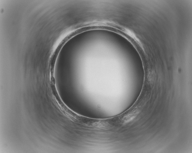 X0000059081368200510172019