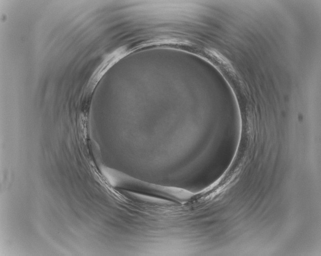 X0000059081369200510172019