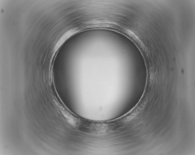 X0000059081370200510172019