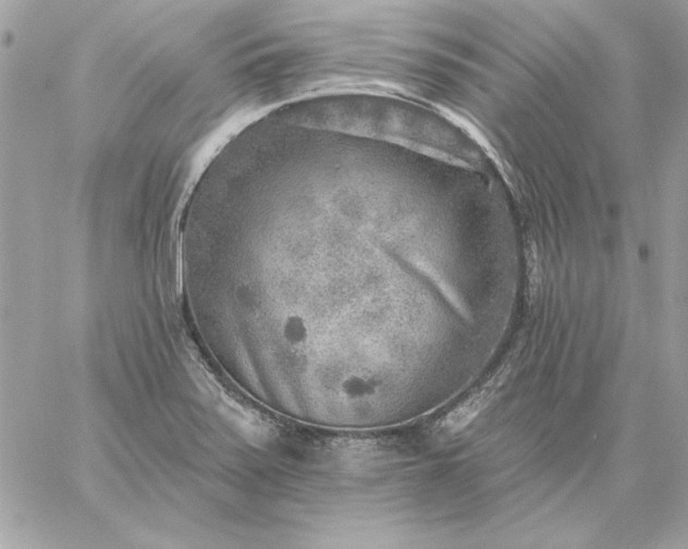 X0000059081371200510172019