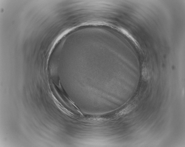 X0000059081372200510172019