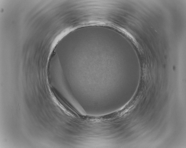 X0000059081373200510172019