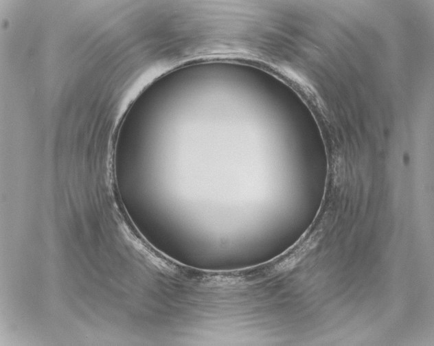 X0000059081374200510172019