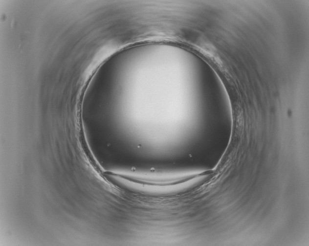 X0000059081375200510172019