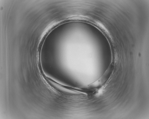 X0000059081376200510172019