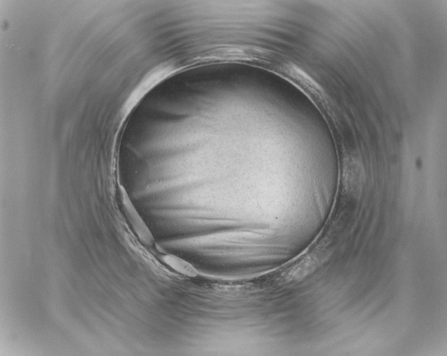 X0000059081378200510172019