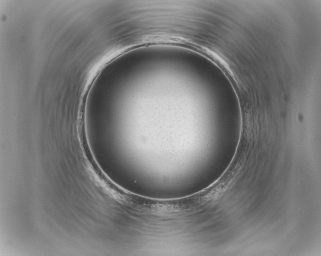 X0000059081379200510172019