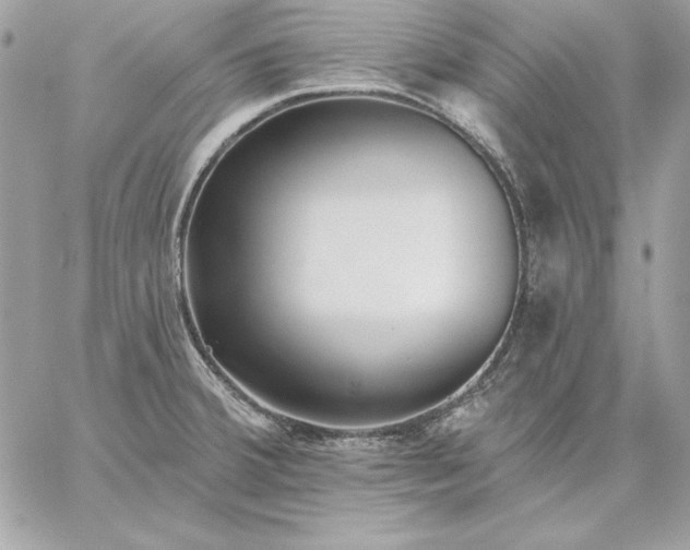 X0000059081380200510172019