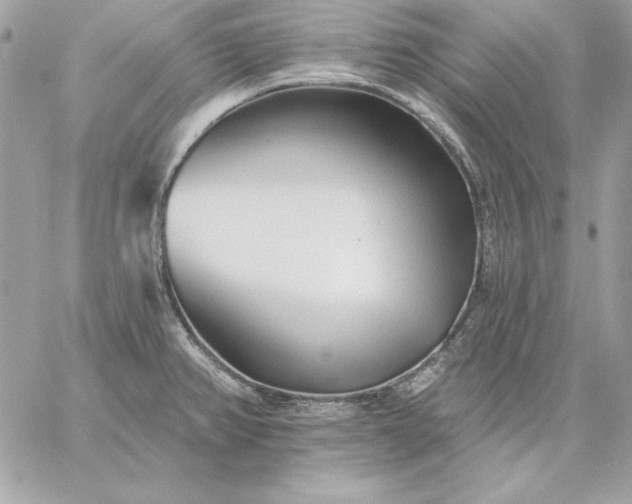 X0000059081382200510172019