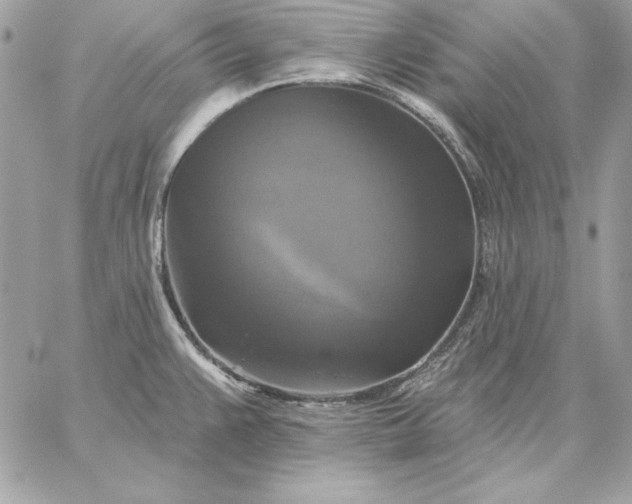 X0000059081383200510172019