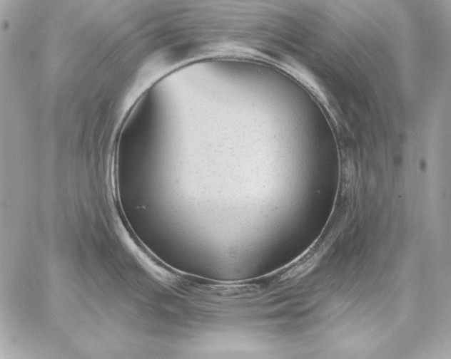 X0000059081391200510172018