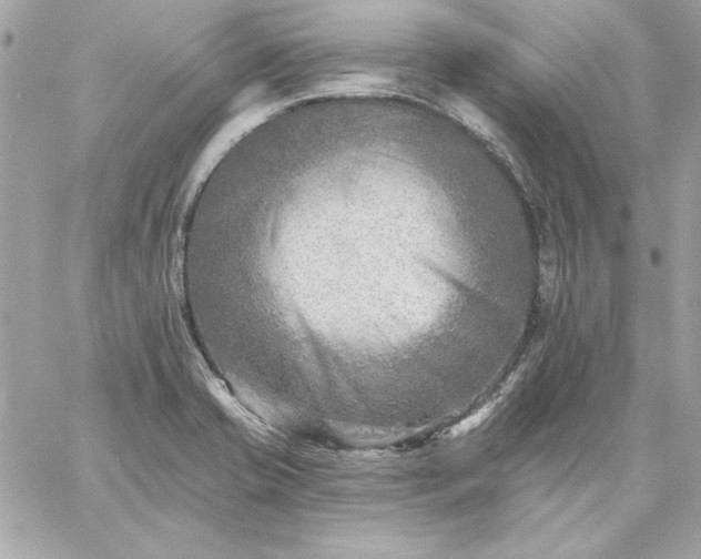 X0000059081421200510172018