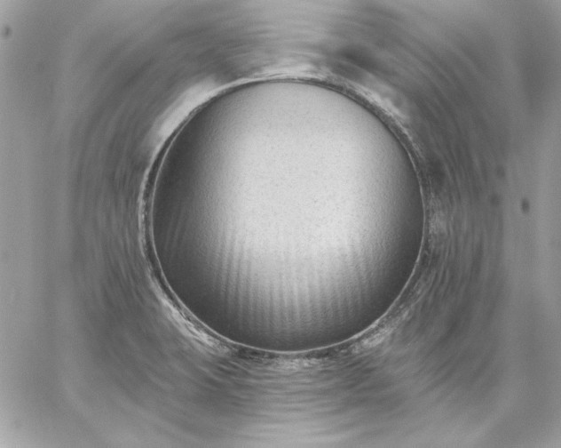 X0000059081423200510172018