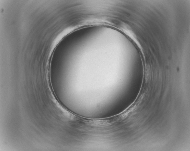 X0000059081437200510172018