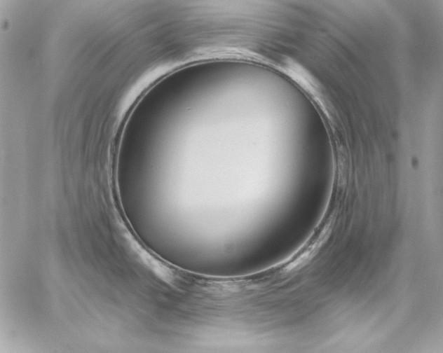 X0000059081438200510172018