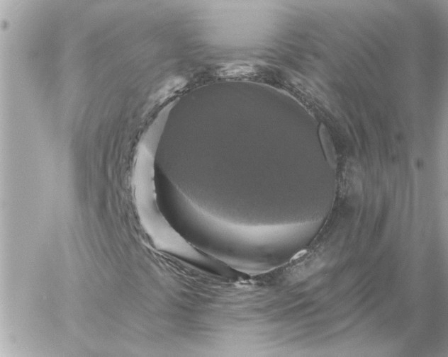 X0000059081441200510172018