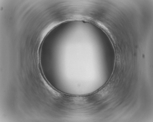 X0000059081479200510172017