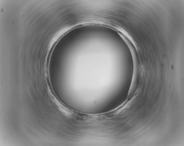 X0000059081485200510172017