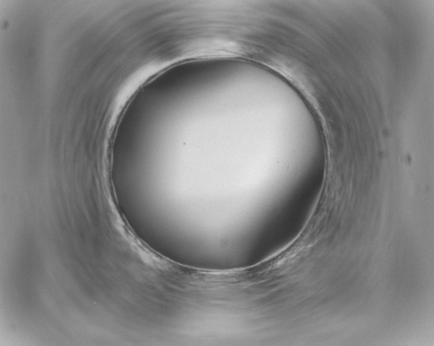 X0000059081488200510172017