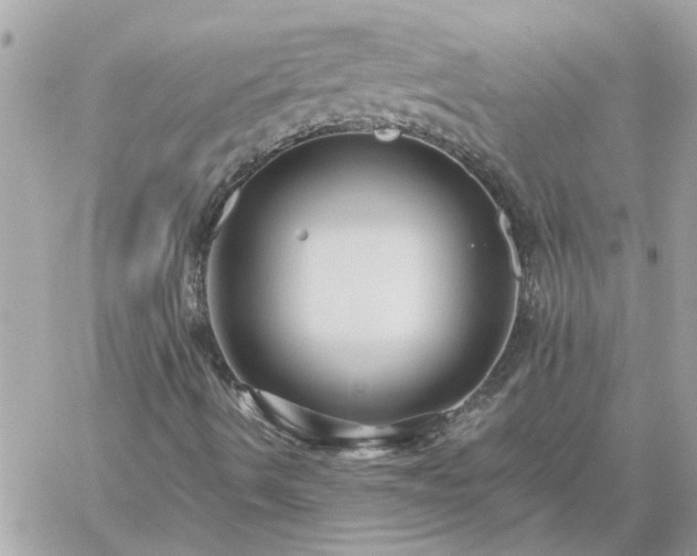 X0000059081490200510172016