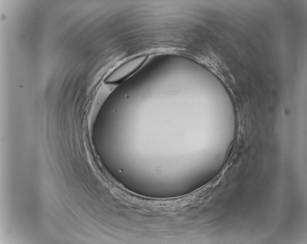 X0000059080001200510211553