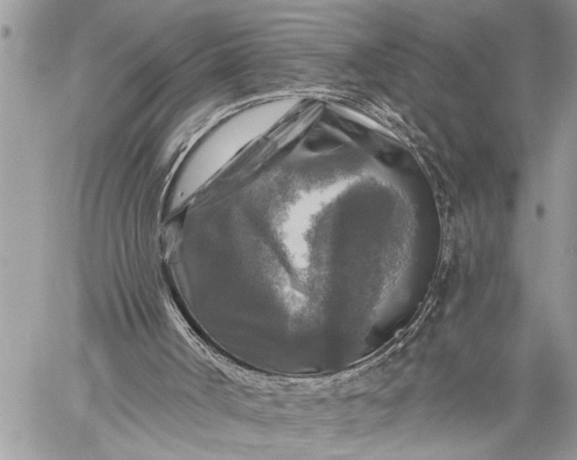 X0000059080002200510211553