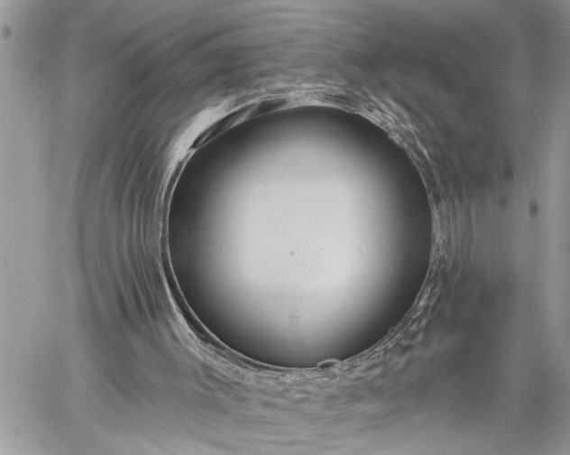 X0000059080003200510211553