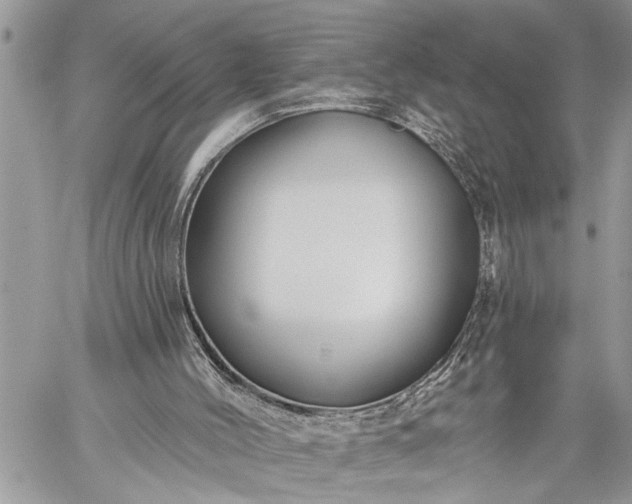 X0000059080004200510211553