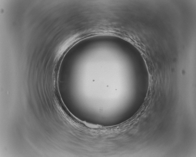 X0000059080005200510211553