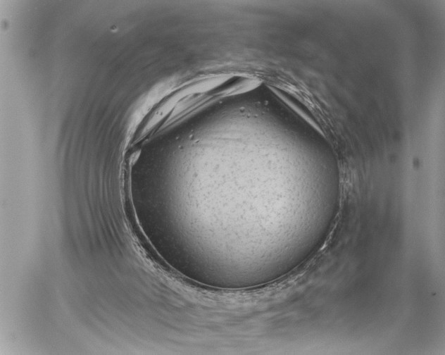 X0000059080006200510211553