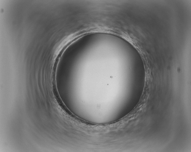 X0000059080007200510211553